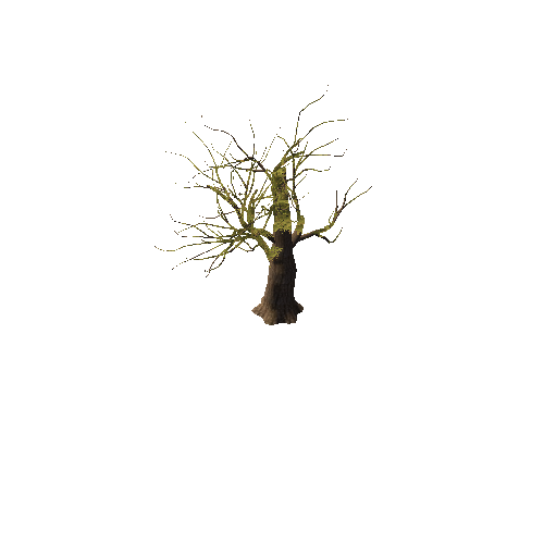 tree6_4_afsTREE_xao_xlprl (1)